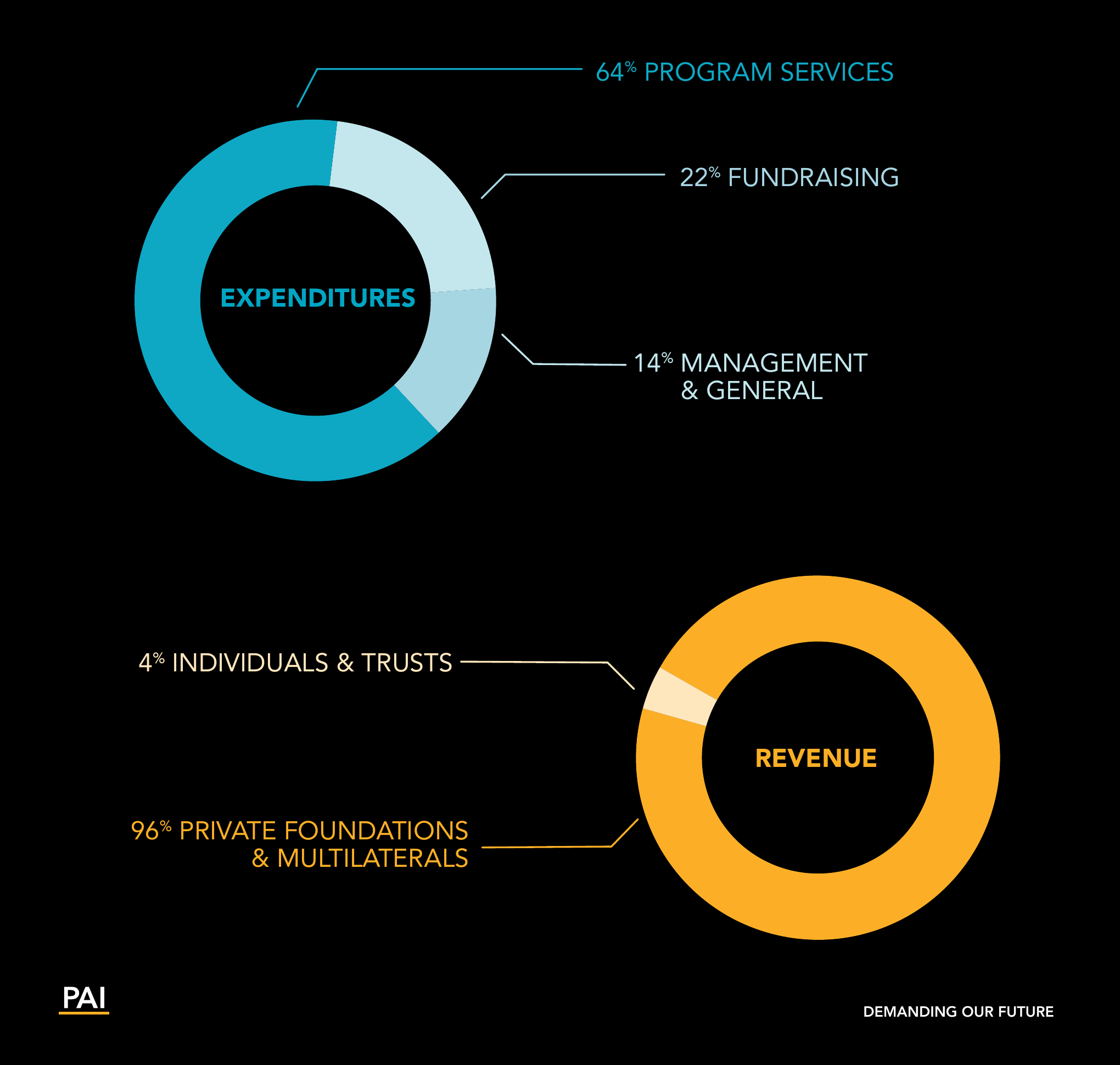 PAI 2025 expenditures and revenue charts: 64% program services, 22% fundraising, 14% management and general; 96% private foundations and multilaterals, 4% individuals and trusts